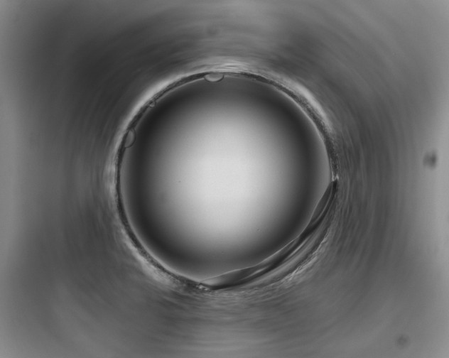 X0000097971424200803241224