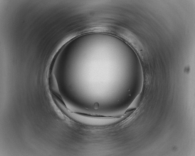 X0000097971426200803241224