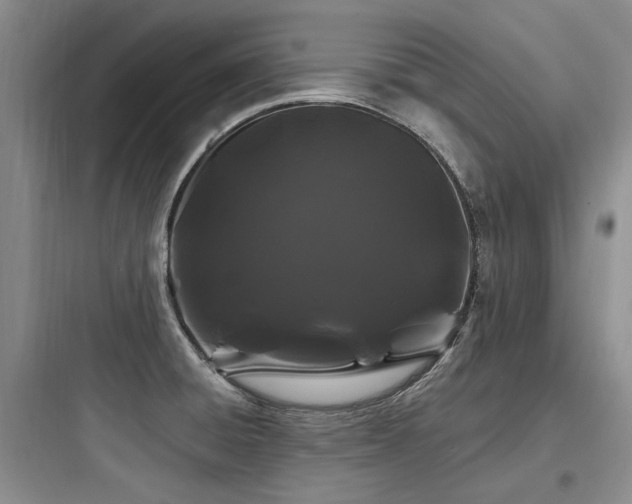 X0000097971428200803241224