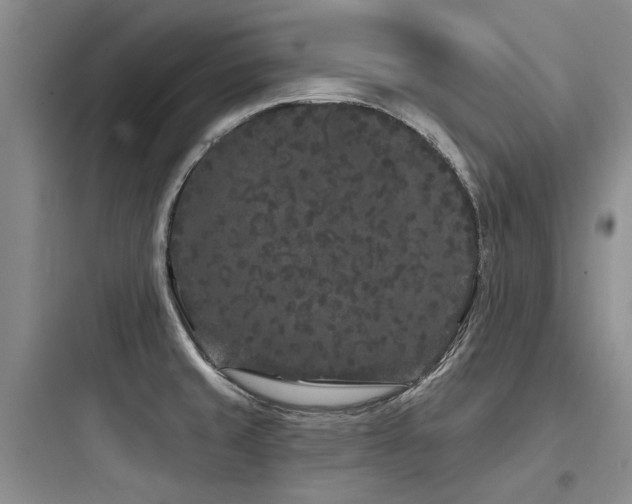 X0000097971429200803241224