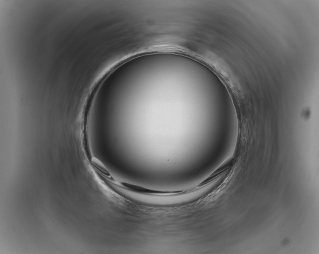 X0000097971430200803241224