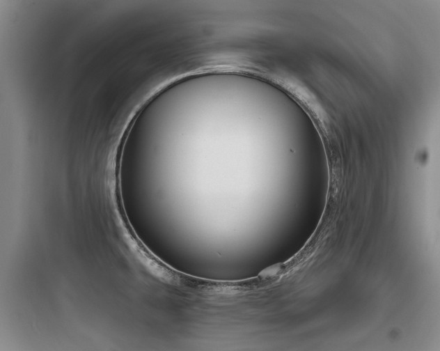 X0000097971431200803241224
