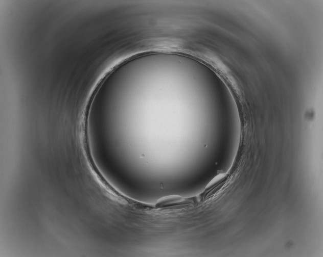 X0000097971432200803241224
