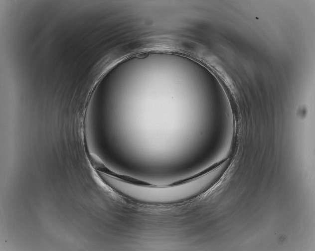 X0000097971433200803241224