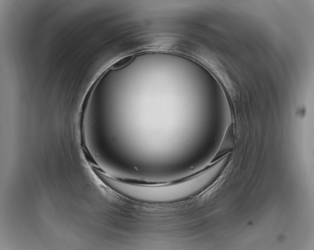 X0000097971434200803241224