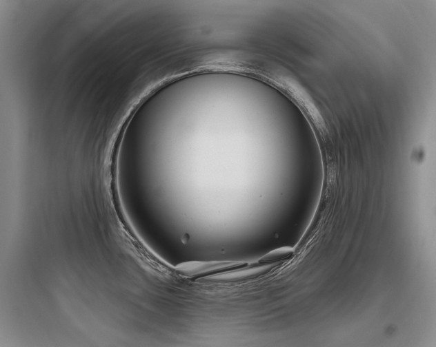 X0000097971435200803241224