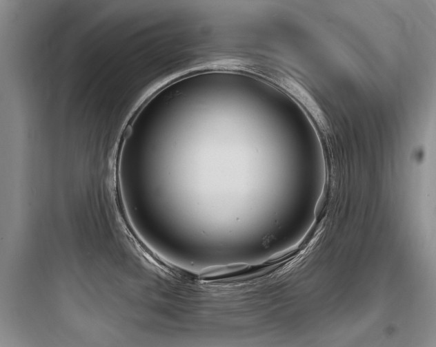 X0000097971436200803241224