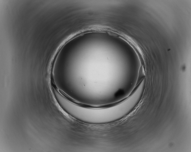 X0000097971437200803241224