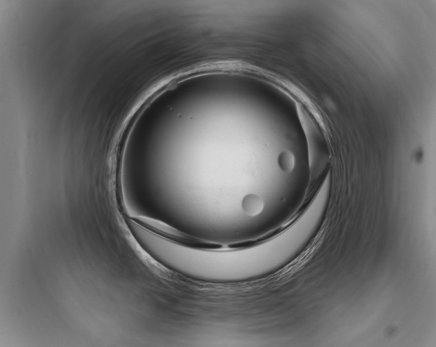 X0000097971438200803241224