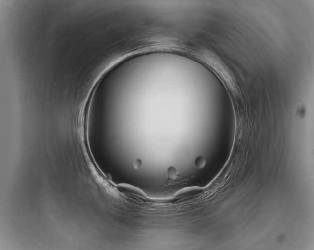 X0000097971439200803241224