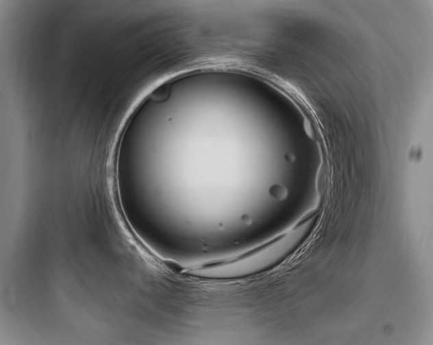 X0000097971440200803241224