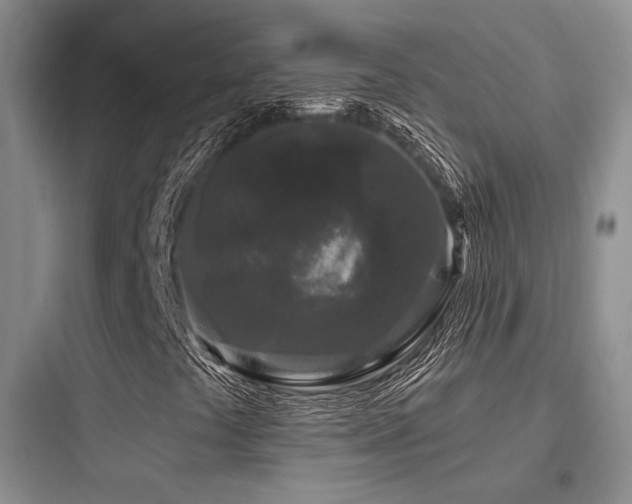 X0000097971441200803241223