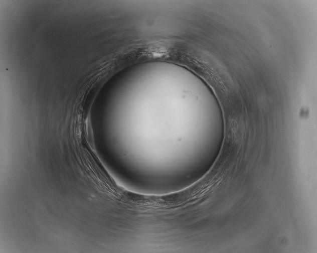 X0000097971442200803241223