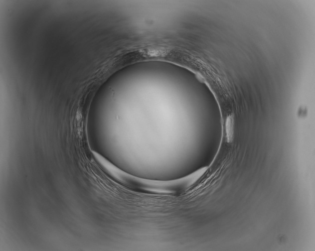 X0000097971443200803241223