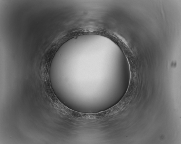 X0000097971446200803241223