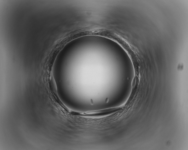 X0000097971447200803241223