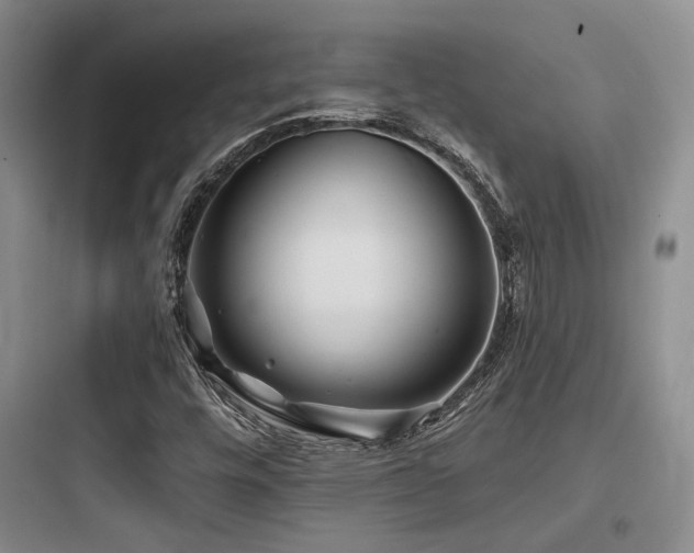 X0000097971448200803241223