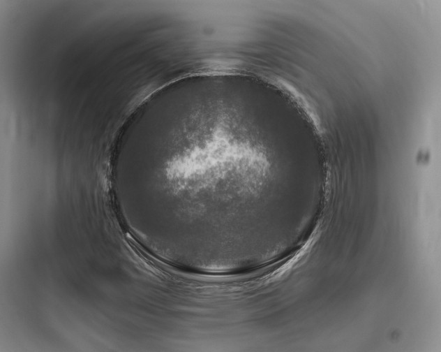 X0000097971449200803241223