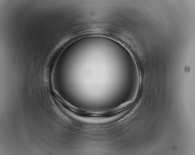 X0000097971450200803241223
