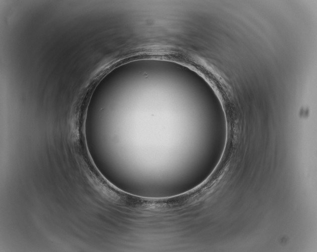 X0000097971451200803241223