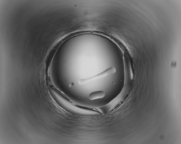 X0000097971452200803241223