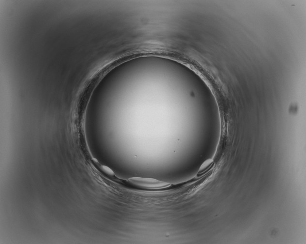 X0000097971453200803241223