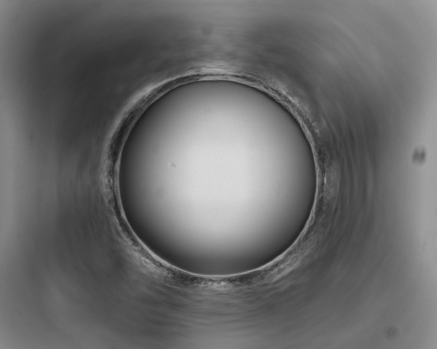 X0000097971454200803241223
