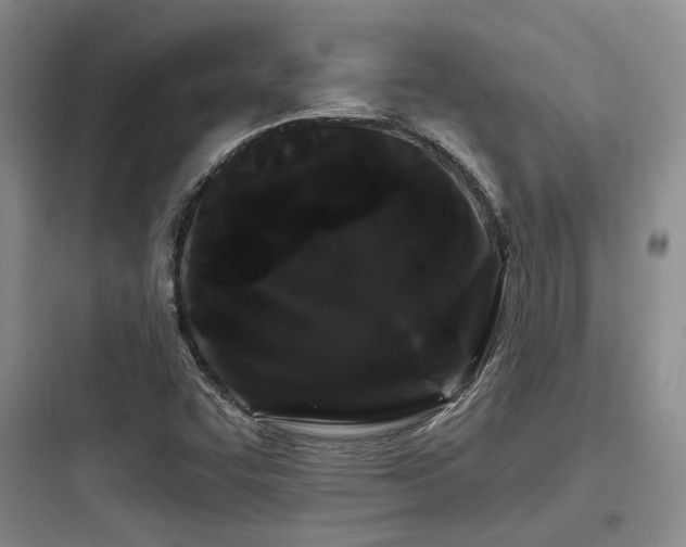 X0000097971455200803241223