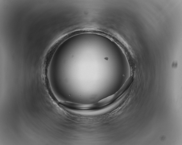 X0000097971456200803241223