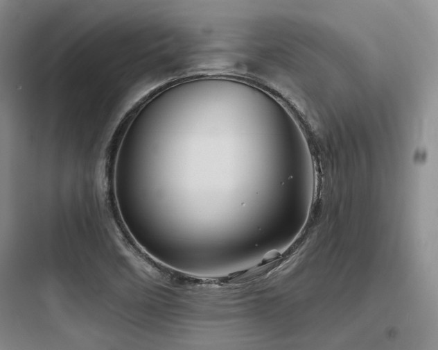 X0000097971458200803241223