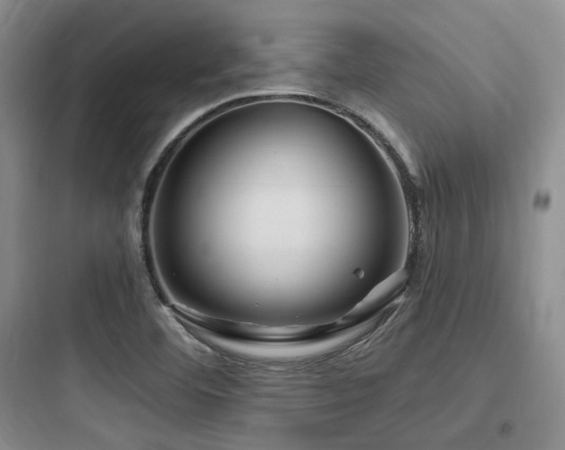 X0000097971460200803241223