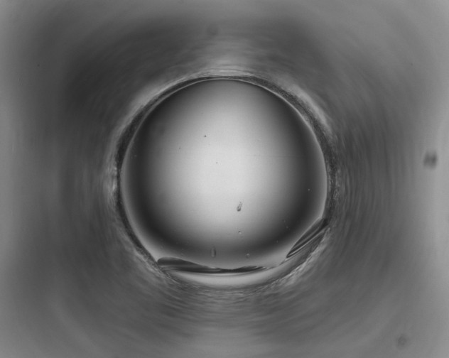 X0000097971461200803241223