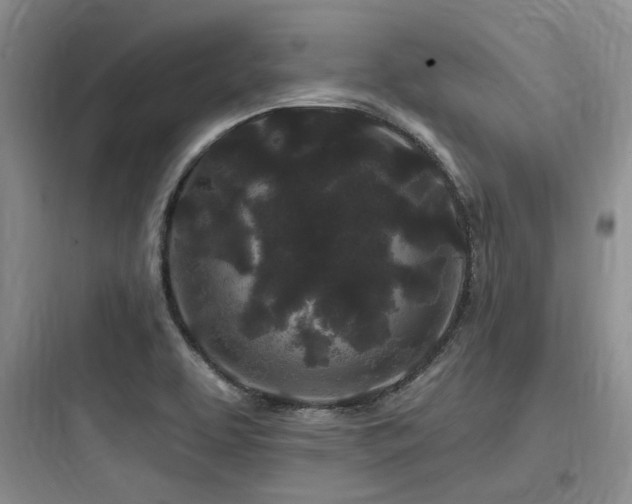 X0000097971463200803241223