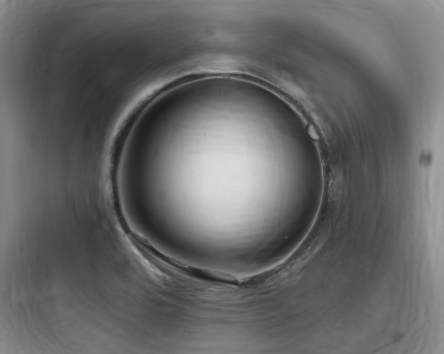 X0000097971464200803241223