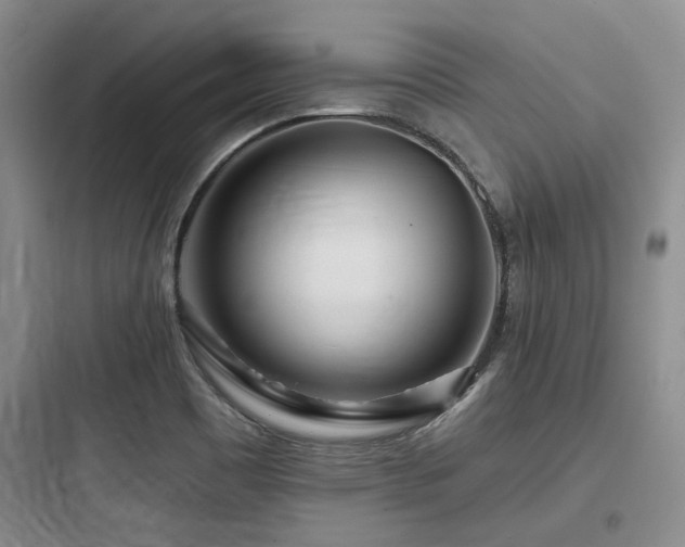 X0000097971465200803241223