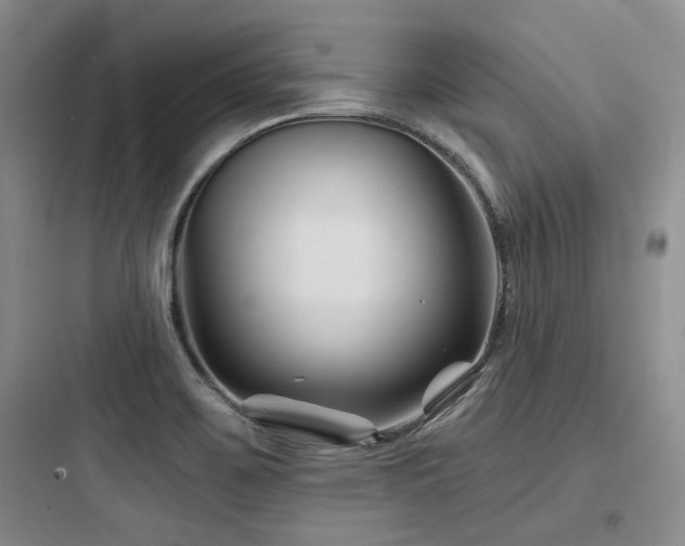 X0000097971467200803241223