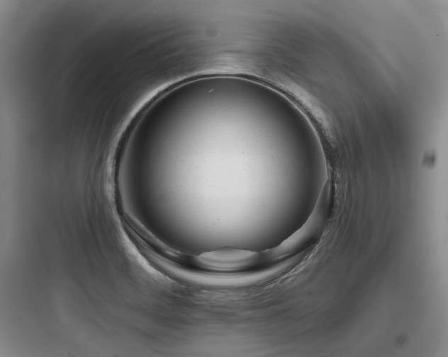 X0000097971468200803241223