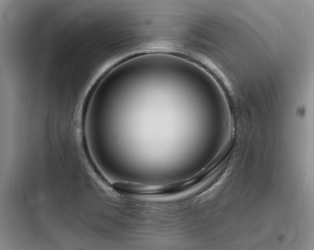 X0000097971469200803241223