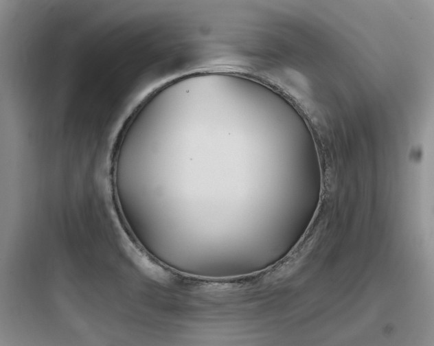 X0000097971470200803241223