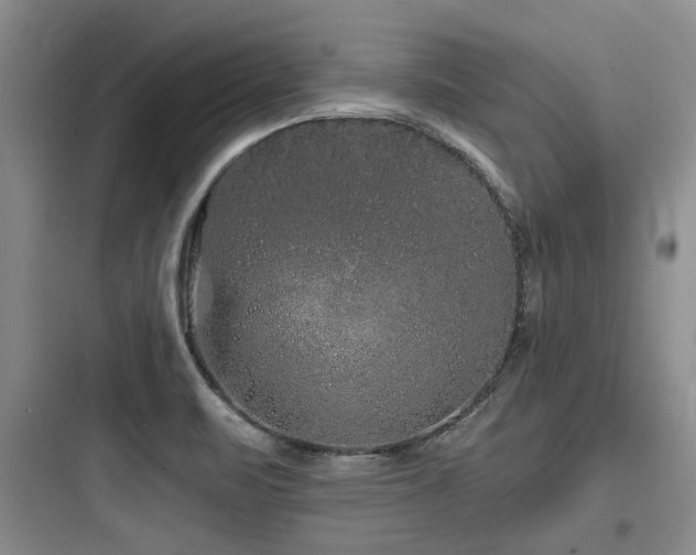 X0000097971471200803241223
