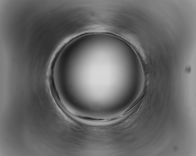 X0000097971472200803241223