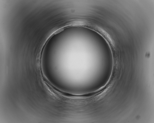 X0000097971473200803241223
