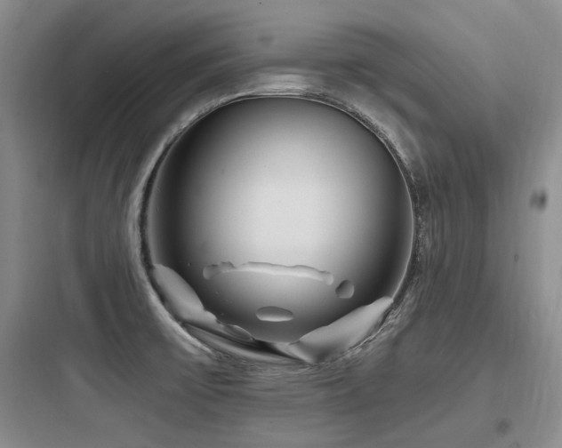 X0000097971475200803241223