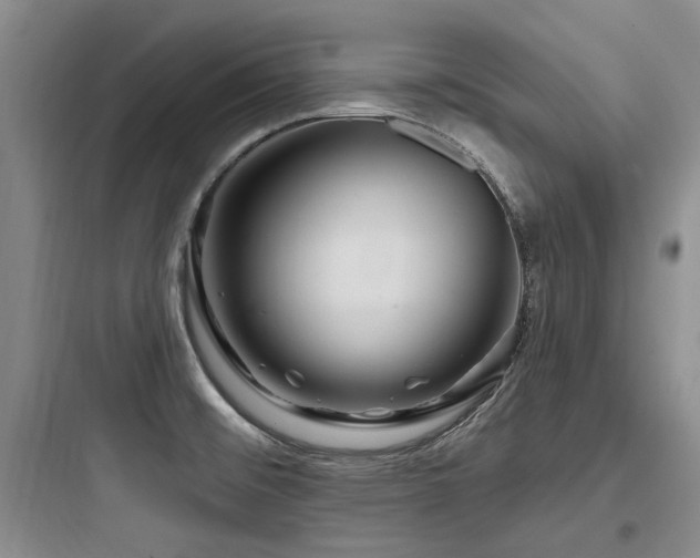 X0000097971476200803241223