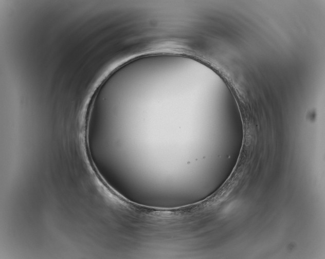 X0000097971478200803241223