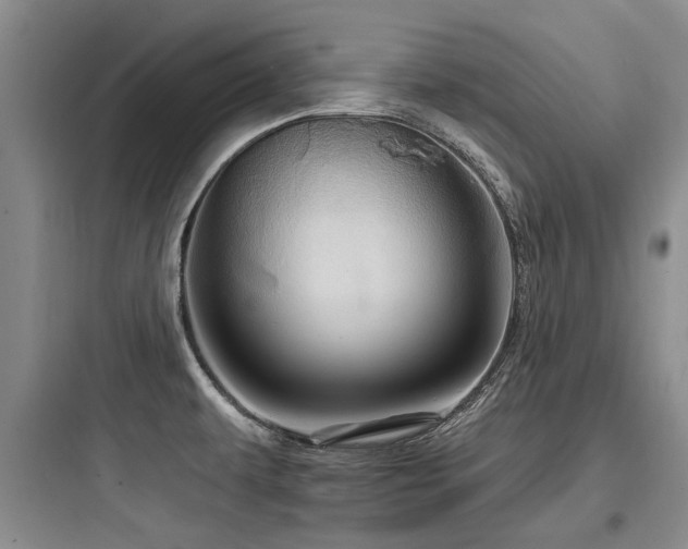 X0000097971479200803241223