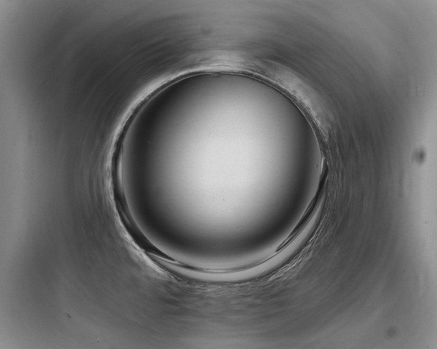 X0000097971480200803241223