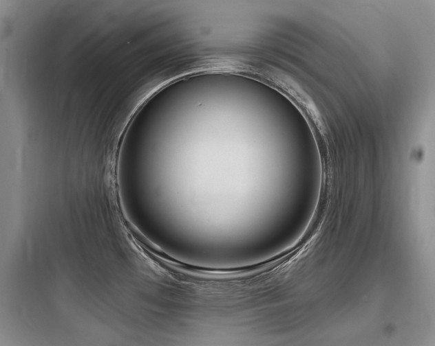 X0000097971481200803241223