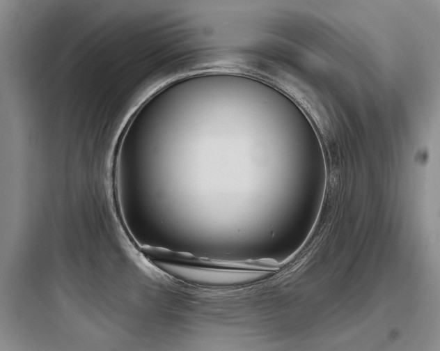 X0000097971482200803241223