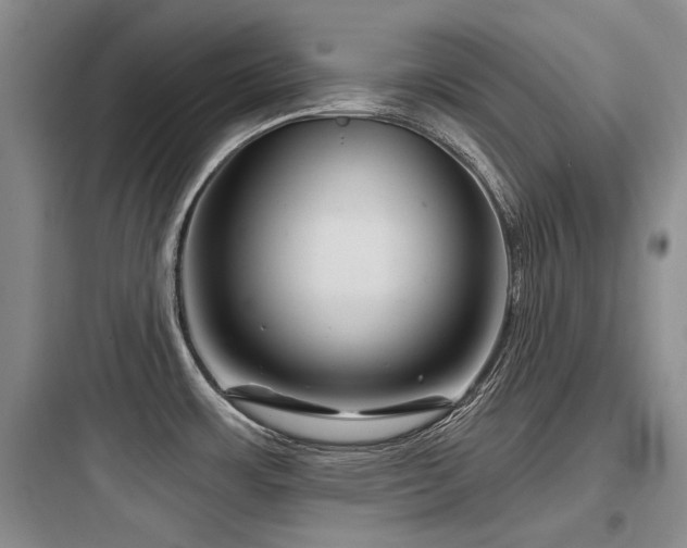 X0000097971483200803241223